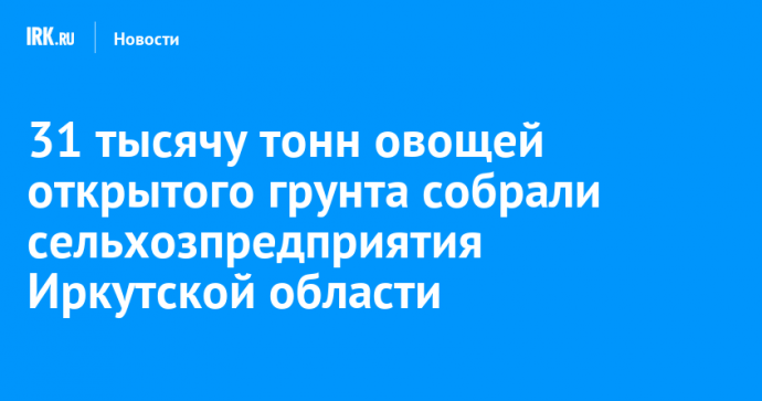 31 тысячу тонн овощей открытого грунта собрали сельхозпредприятия Иркутской области