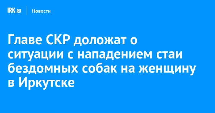 Главе СКР доложат о ситуации с нападением стаи бездомных собак на женщину в Иркутске