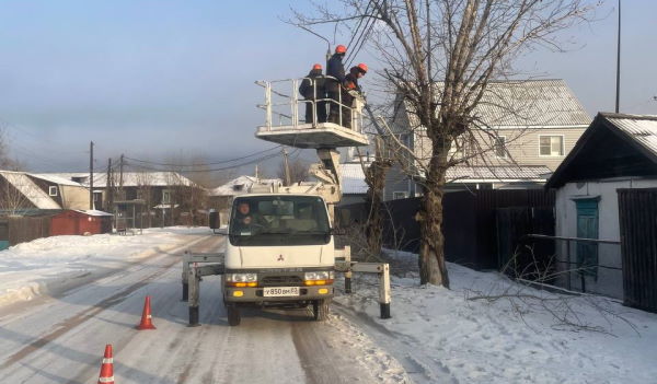 В столице Бурятии идёт подготовка деревьев к весне