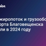 Пассажиропоток и грузооборот аэропорта Благовещенска выросли в 2024 году