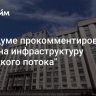 В Госдуме прокомментировали атаку на инфраструктуру "Турецкого потока"