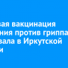 Массовая вакцинация населения против гриппа стартовала в Иркутской области