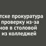 В Иркутске прокуратура начала проверку из-за тараканов в столовой одного из колледжей