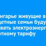 В Приангарье живущие в СНТ многодетные семьи будут оплачивать электроэнергию по льготному тарифу