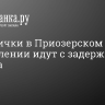 Электрички в Приозерском направлении идут с задержкой в полчаса