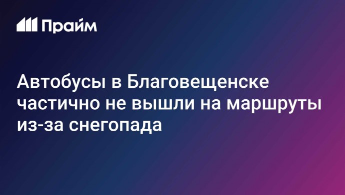 Автобусы в Благовещенске частично не вышли на маршруты из-за снегопада