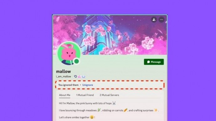 Discord представил функцию «Игнорировать» для незаметного дистанцирования от пользователей