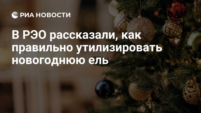 В РЭО рассказали, как правильно утилизировать новогоднюю ель