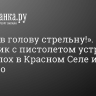 «Я тебе в голову стрельну!». Собачник с пистолетом устроил переполох в Красном Селе и попал на видео