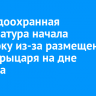 Природоохранная прокуратура начала проверку из-за размещения статуи рыцаря на дне Байкала