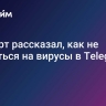 Эксперт рассказал, как не попасться на вирусы в Telegram