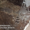 На ферме в Холтобино при заливке фундамента погиб рабочий