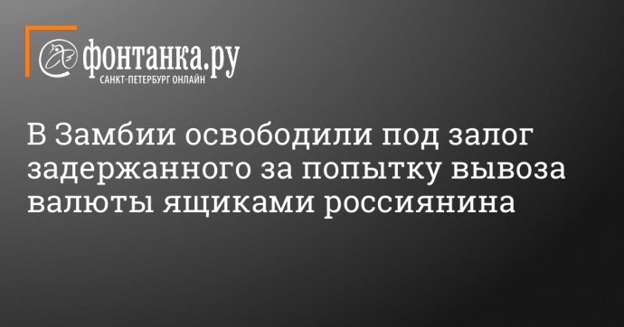 В Замбии освободили под залог задержанного за попытку вывоза валюты ящиками россиянина