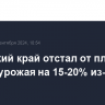 Алтайский край отстал от плана по уборке урожая на 15-20% из-за дождей