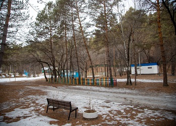 В Приамурье дети участников СВО получат бесплатные путевки в загородные лагеря