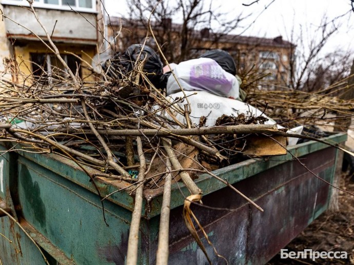 Белгородский губернатор заявил, что в регионе нужно менять систему сбора мусора