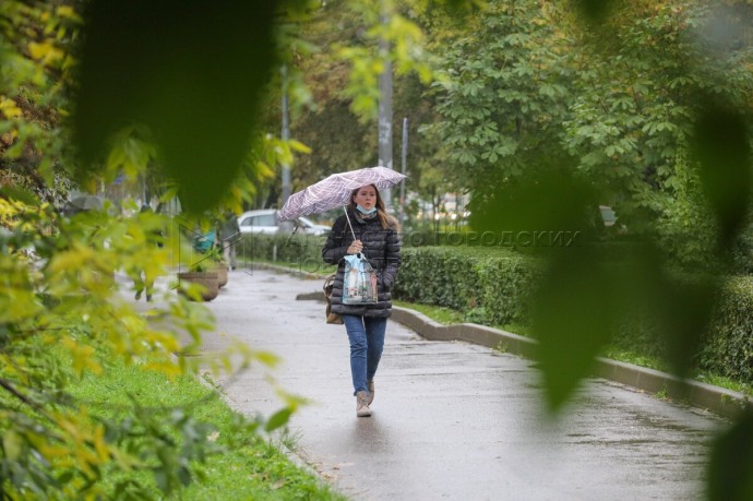 МЧС предупредило о сильном дожде в Москве вечером до утра понедельника