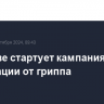 В Москве стартует кампания по вакцинации от гриппа