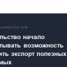 Правительство начало прорабатывать возможность ограничить экспорт полезных ископаемых