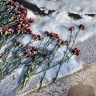 ​На 90-м году ушла из жизни старейший преподаватель кафедры педиатрии в Перми