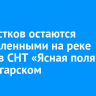 30 участков остаются подтопленными на реке Китой в СНТ «Ясная поляна» под Ангарском