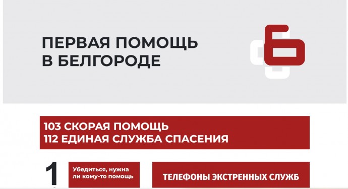 Вячеслав Гладков рассказал о сайте «Первая помощь в Белгороде»