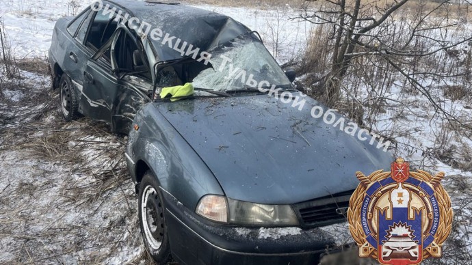 В Ленинском женщина въехала в дерево: пострадали двое детей