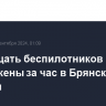 Двенадцать беспилотников уничтожены за час в Брянской области