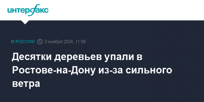 Десятки деревьев упали в Ростове-на-Дону из-за сильного ветра