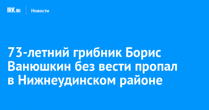 73-летний грибник Борис Ванюшкин без вести пропал в Нижнеудинском районе