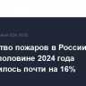 Количество пожаров в России в первой половине 2024 года уменьшилось почти на 16%