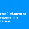 В Иркутской области за сутки сгорели пять автомобилей