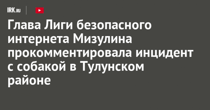 Глава Лиги безопасного интернета Екатерина Мизулина прокомментировала инцидент с собакой в Тулунском районе