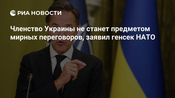 Членство Украины не станет предметом мирных переговоров, заявил генсек НАТО