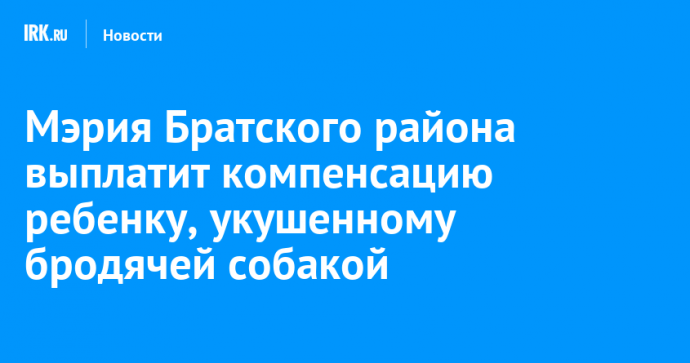 Мэрия Братского района выплатит компенсацию ребенку, укушенному бродячей собакой