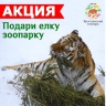 Ярославцев приглашают присоединиться к акции «Подари елку зоопарку»