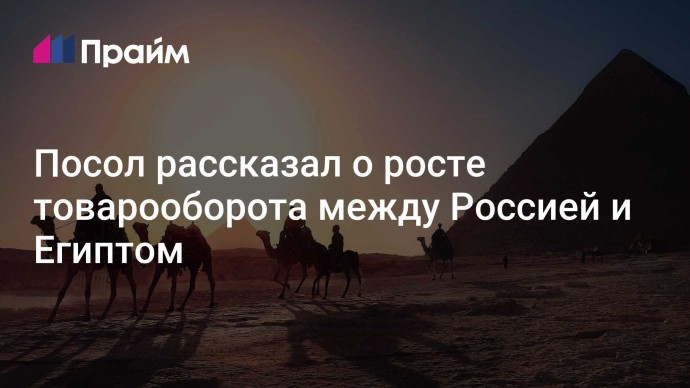 Посол рассказал о росте товарооборота между Россией и Египтом