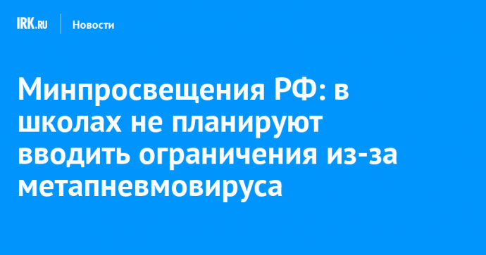 Минпросвещения РФ: в школах не планируют вводить ограничения из-за метапневмовируса