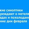 Иркутские синоптики предупреждают о метелях, снегопадах и похолодании в последние дни февраля