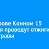 На острове Конном 15 октября проведут отжиги сухой травы