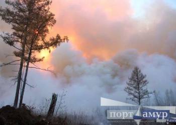 Амурская область оказалась в «красной» зоне по рискам возникновения лесных пожаров