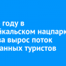 В 2024 году в Прибайкальском нацпарке в три раза вырос поток иностранных туристов