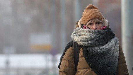 В Гидрометцентре заявили о приближении заморозков — прогноз неутешительный