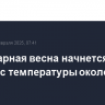 Календарная весна начнется  в Москве с температуры около нуля