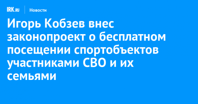 Игорь Кобзев внес законопроект о бесплатном посещении спортобъектов участниками СВО и их семьями