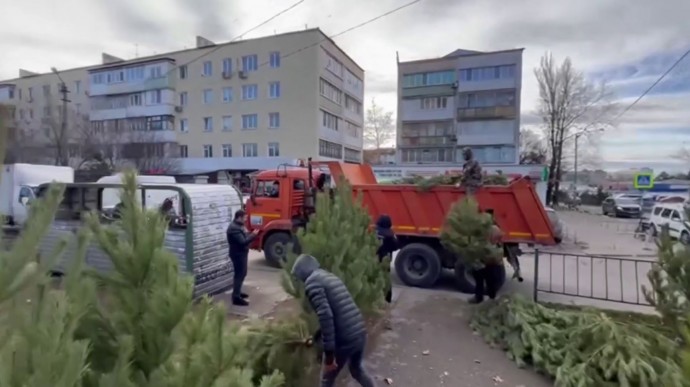 12 незаконных ёлочных базаров выявили в Симферополе