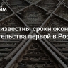 Стали известны сроки окончания строительства первой в России ВСМ