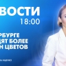 Новости Петербурга к 18:00