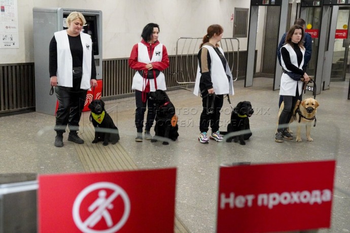 Ликсутов: В этом году 40 собак-проводников пройдут обучение в метро