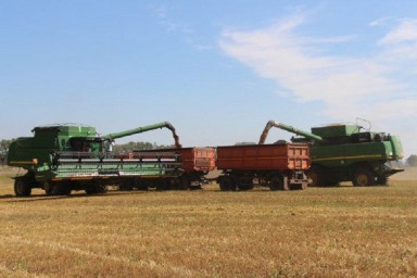 Более половины площадей зерновых и зернобобовых культур убрали в Алтайском крае